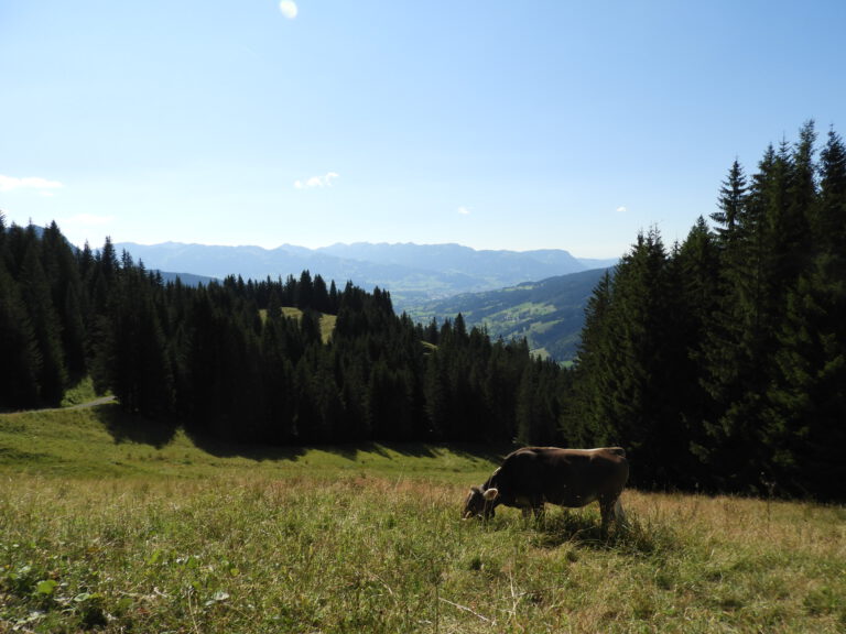 Hier lässt sich's aushalten.